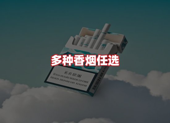 专业团队